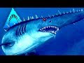 The Spikey Shark of Doom!!! - Depth | Ep17 HD