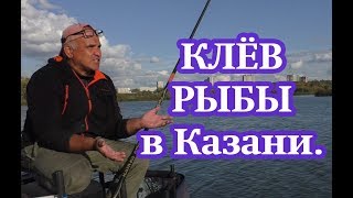 Где клюет рыба в казани