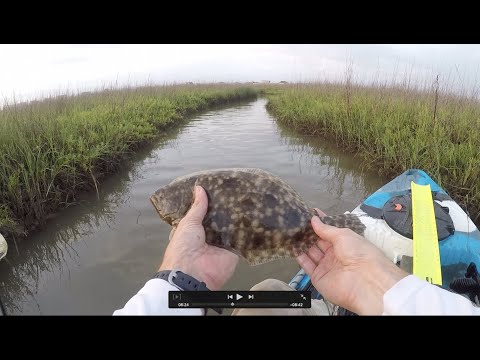 Fishing Flounder Spawning on YouTube