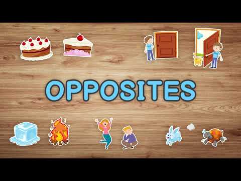 Tappable Opposites - Food and Clothing