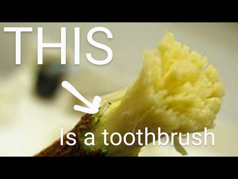 THIS is a toothbrush.