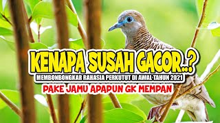 Download lagu DAILY TREATMENT FOR A SOUND OF DILIGENCE AT THE BEGINNING OF THE NEW YEAR 2021 mp3