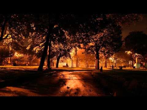 Chris.SU - Together in the Night Ft. Mira (Short Edit)