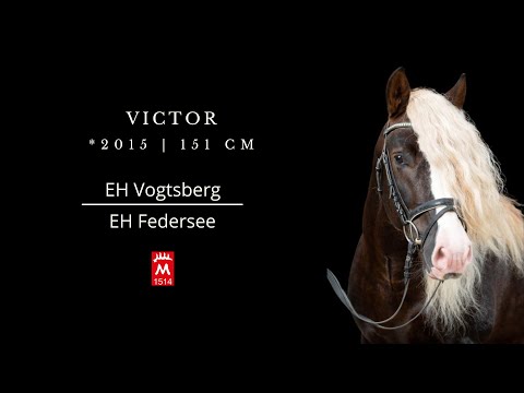 Victor *2015 v. Vogtsberg-Federsee