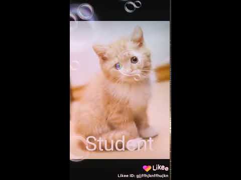 Hittp/...love ..deep..vvbgdhcvhchjd