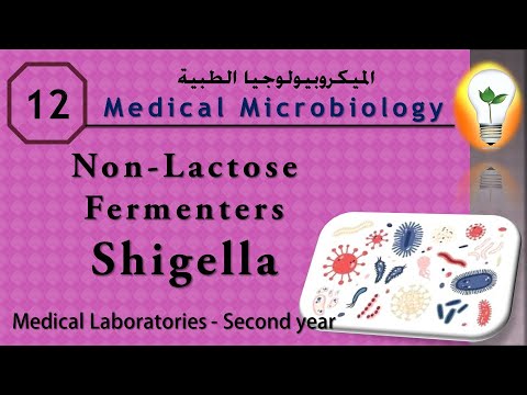 Medical Microbiology 0 introduction نظرة عامة ومقدمة لعلم الميكروبيولوجي
