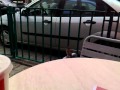 McDonalds Birds Eat Fries
