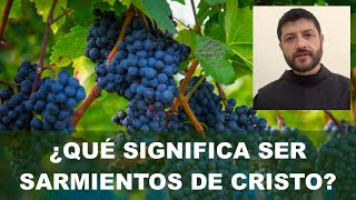 ¿Qué significa ser "Sarmientos" de Cristo? Catequesis sobre la "Vid Verdadera". Fray Duván Tangarife
