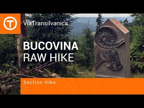 Via Transilvanica / Bucovina / Solo Section Hike