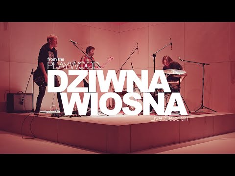 Dziwna Wiosna From The Playwood - LIVE SESSION