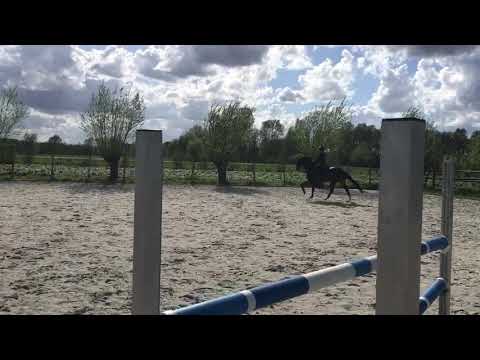 Amy Tan training Andres Vereecke