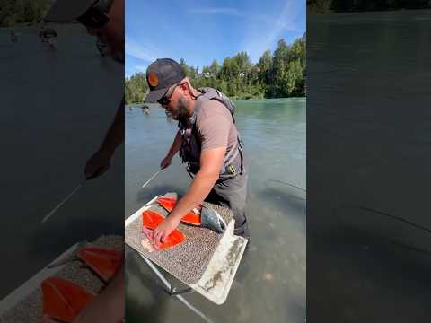 इसके जैसे कोई नहीं काट सकता है !?!