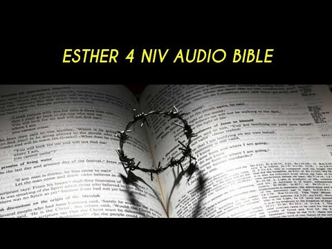 ESTHER 4 NIV AUDIO BIBLE