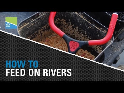 *Match Fishing Essentials* - How To Feed on Rivers!