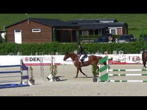 Greenfield Horses - gelding 4 y.o  -by Ludwig von Bayern