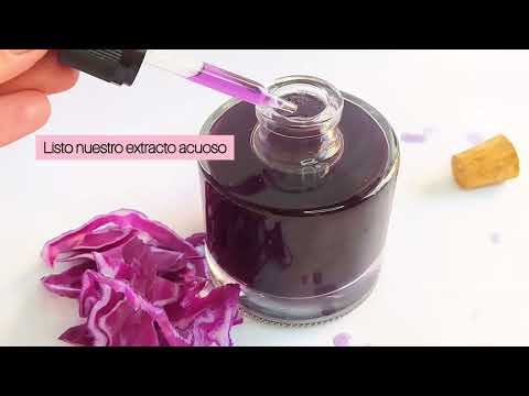 ¿Cómo elaborar extracto acuoso de la col lombarda?