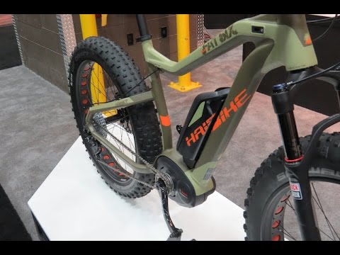 Electric Bike Report