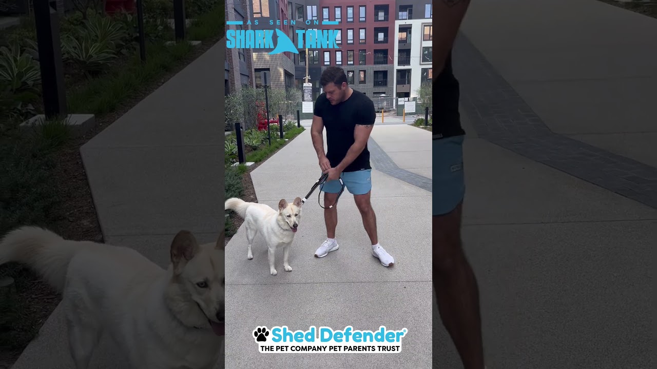 Shed Defender Mag-Snap patented wearable leash