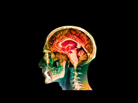 Your Brain Is F*cked Up (Here's Why You Can't Focus Anymore)