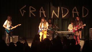Grandad - Elephant video
