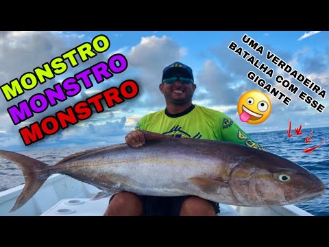 OLHO DE BOI MONSTRUOSO / AMBERJACK / MONSTRO / OLHO DE BOI / FF PESCA / ILHEUS / BAHIA