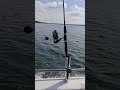 channel