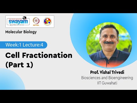 Molecular Biology Introduction Video