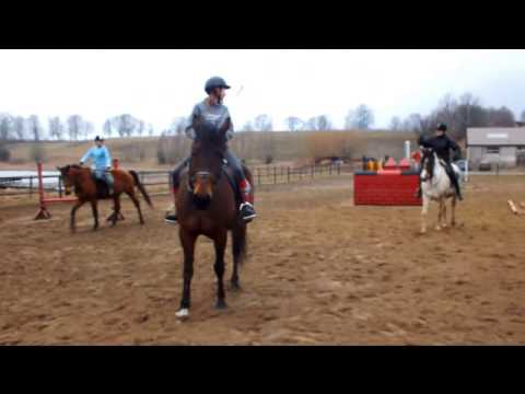 Harlem Shake na koniu :D