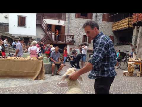 Rango * dall'altra parte il 30 giugno 2020