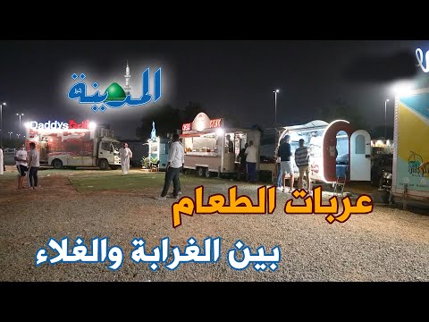 من ساندوتش "مندي" إلى "شيتوس" بالدجاج.. "عربات الطعام" بين الغرابة والغلاء
