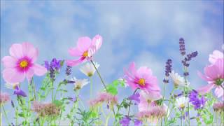 Recall how David swore