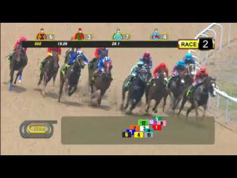 Horseracing Commentator, Presenter and Broadcaster