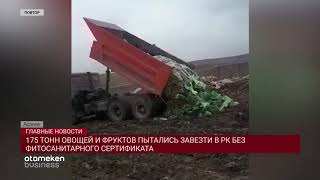 175 ТОНН ОВОЩЕЙ И ФРУКТОВ ПЫТАЛИСЬ ЗАВЕЗТИ В РК БЕЗ ФИТОСАНИТАРНОГО СЕРТИФИКАТА