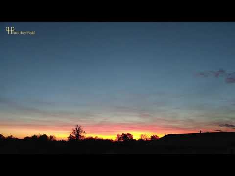 Piano Harp Pedal - Artur Cimirro / CIMIRRO_Op30-No4_Meridional-Seasons