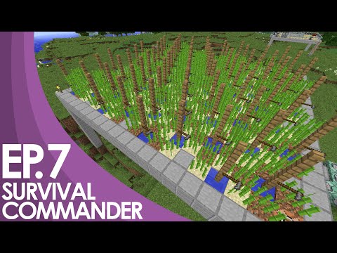 Zedaph: Survival Commander - E7 - Insane Sugarcane
