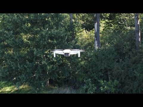 Dji mini 2, Dji mini SE. 06.09.2022