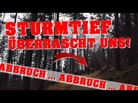 Zweitälersteig | TAG 4 | Ausnahmezustand im Schwarzwald | Orkanböen mit Tempo 178 auf dem Feldberg!