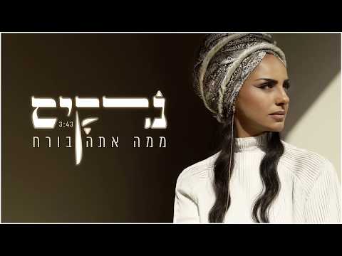 נרקיס - ממה אתה בורח (עם רביד פלוטניק)