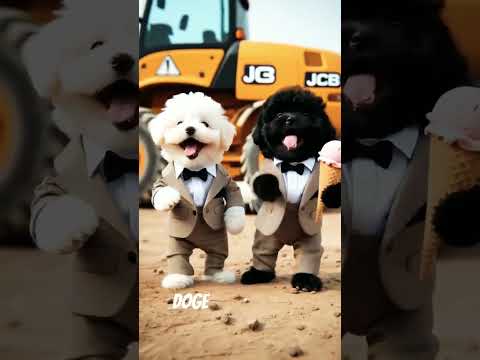 sad story doge !! #live #viralshorts #yt #short. #1million