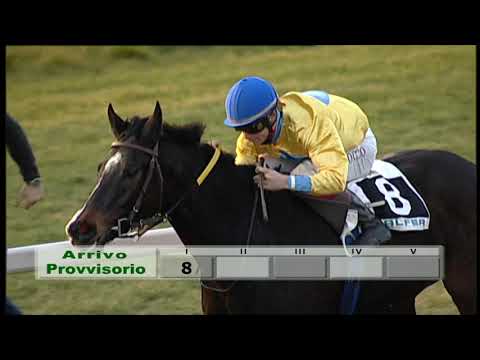 2020-01-26 Corsa 7 Metri 1800 Premio Porta Nuova