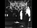 Nocturnal Journey