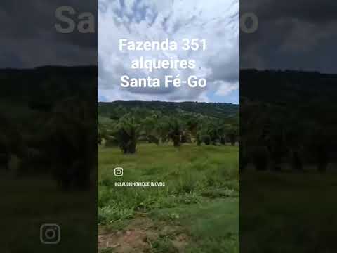(62)9-8305-7960 - Fazenda 351 alqueires, Santa Fé-Go