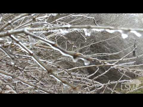 1-14-2017 Ice Storm Edwardsville, IL - Day 2