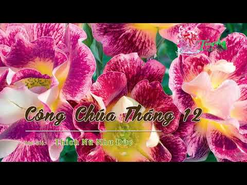 Công Chúa Tháng 12