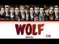 EXO (엑소) - 'Wolf (늑대와 미녀)(Korean Ver.)' Lyrics (Color Coded_Han_Rom_Eng)
