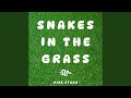 snakes in the grass