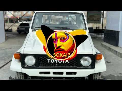 Homa Dusty - Apex 5 Star 2023