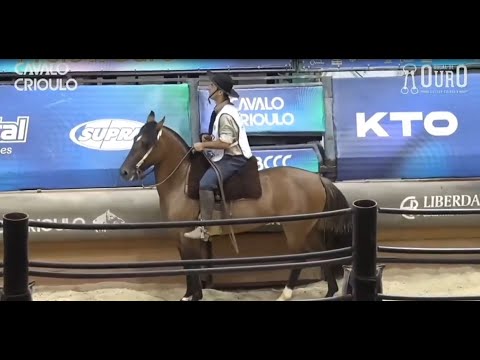 Vistosa de Santa Celuta • Melhor Prova de Mangueira I das Fêmeas no Bocal de Ouro 2024