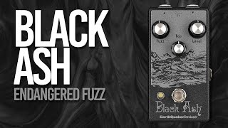 EarthQuaker Devices Black Ash - What To Know & Where To Buy EarthQuaker Devices Black Ash - What To Know & Where To Buy