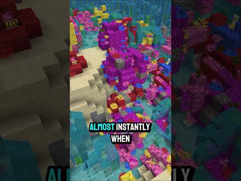 How to keep coral blocks alive? 🪸